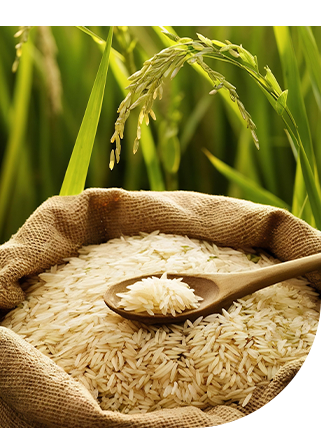 Royal Star Agrotech Pvt. Ltd.