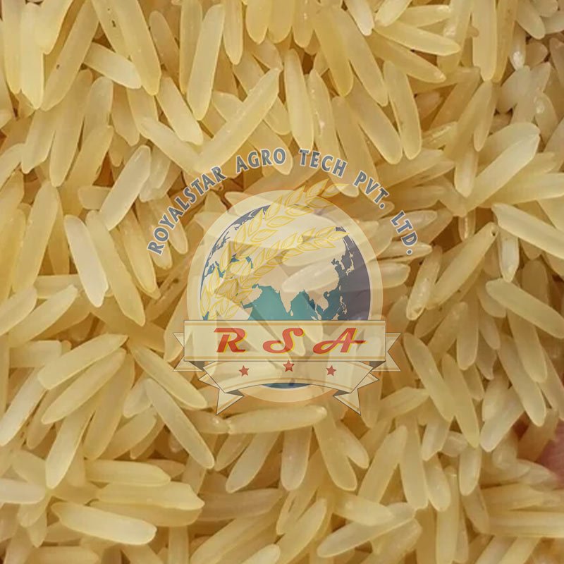 PR 14 Rice Golden